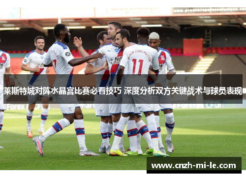 莱斯特城对阵水晶宫比赛必看技巧 深度分析双方关键战术与球员表现