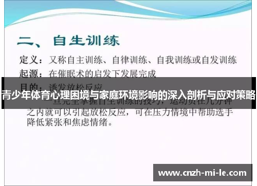 青少年体育心理困境与家庭环境影响的深入剖析与应对策略