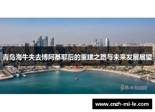青岛海牛失去博阿基耶后的重建之路与未来发展展望