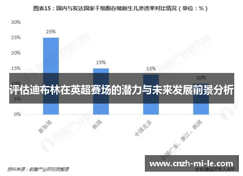 评估迪布林在英超赛场的潜力与未来发展前景分析