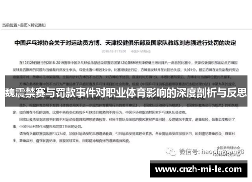 魏震禁赛与罚款事件对职业体育影响的深度剖析与反思