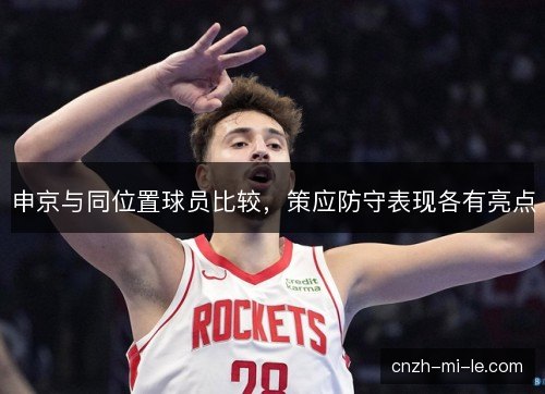 申京与同位置球员比较，策应防守表现各有亮点
